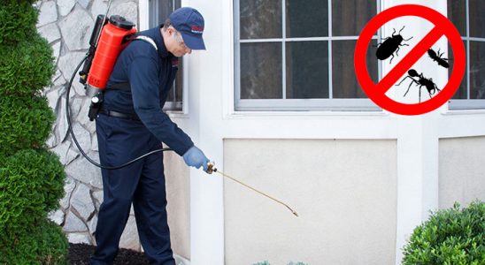 Kargı Karınca İlaçlama böcek ilaçlama ve haşere kontrolü — ilaclama-tr.com